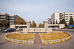 清华大学