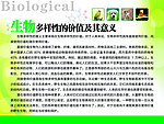 生物多样性价值及意义