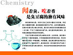 化学臭豆腐