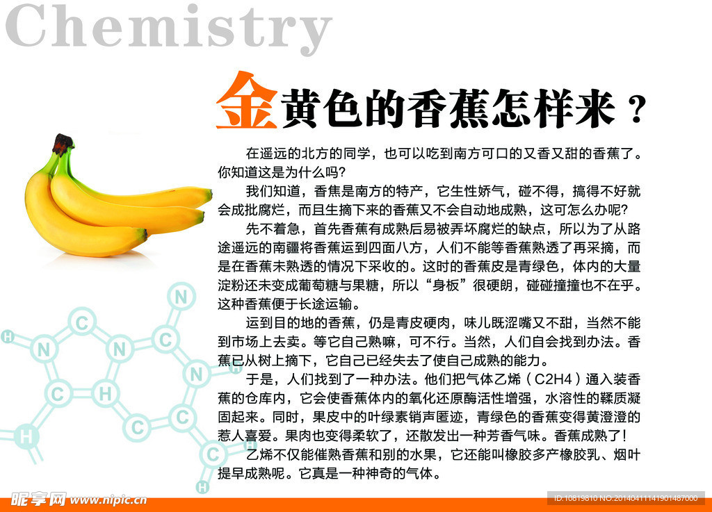 金黄色的香蕉怎样来