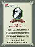 达尔文