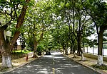 林荫大道