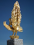 金鸟