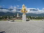金鸟