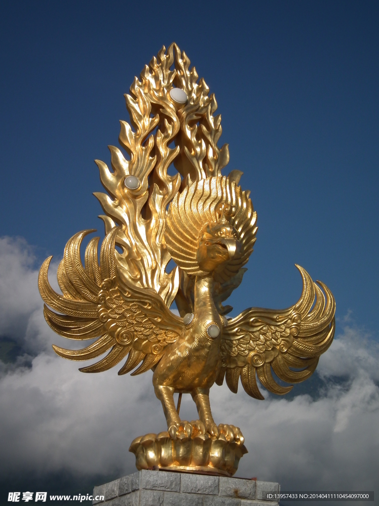 金鸟