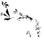 千纸鹤