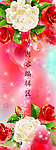 牡丹花