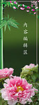 牡丹花