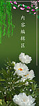 牡丹花