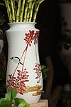 转运竹