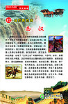 历史长廊图片