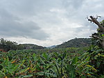 乡村景色