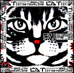 猫头
