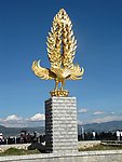 金鸟