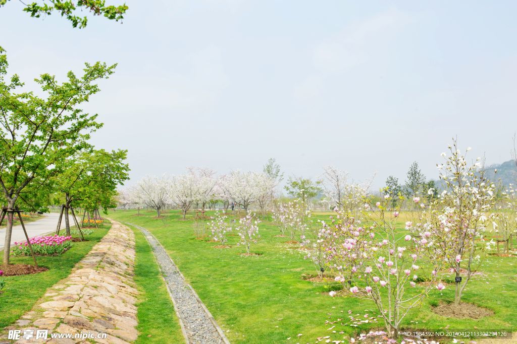 辰山植物园