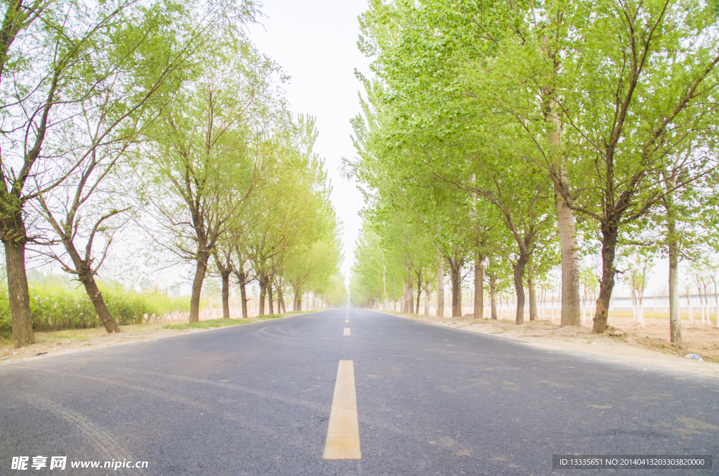 公路
