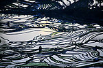元阳梯田
