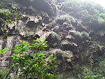 页岩