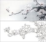 玉兰花