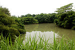 杭州西溪湿地公园