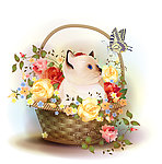 花篮鲜花
