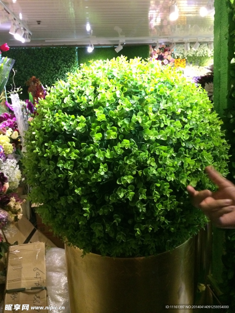 草球