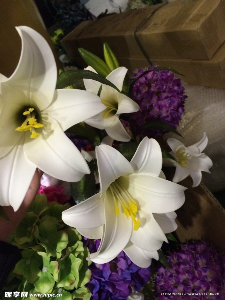 百合花