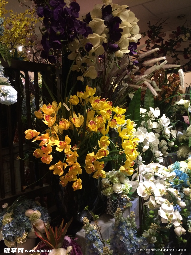 迎春花