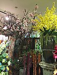花卉