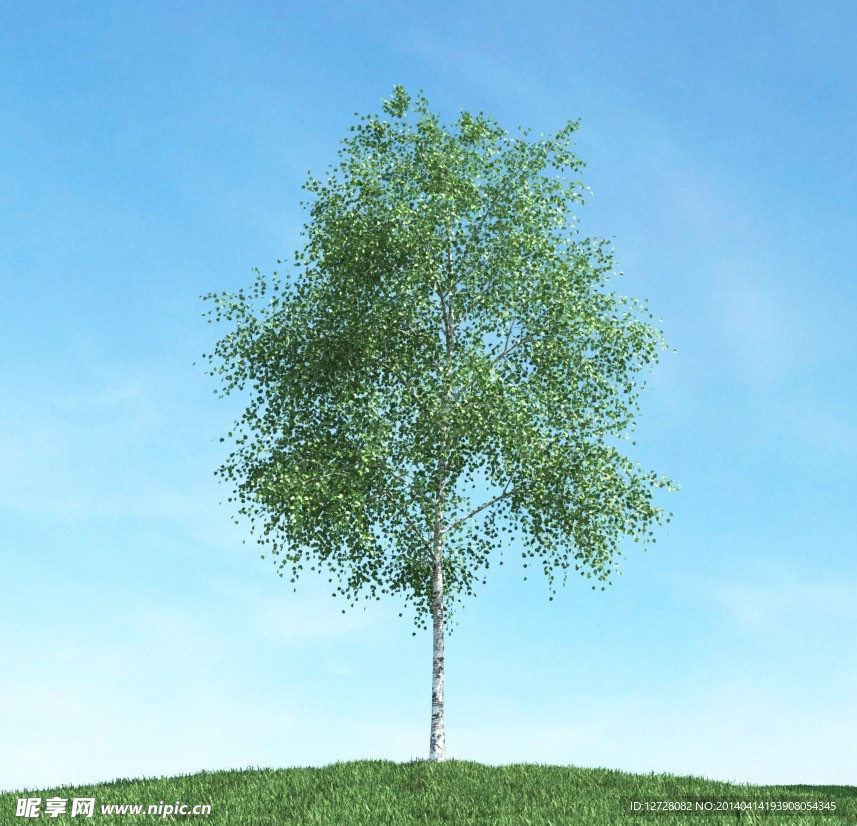 树木模型下载