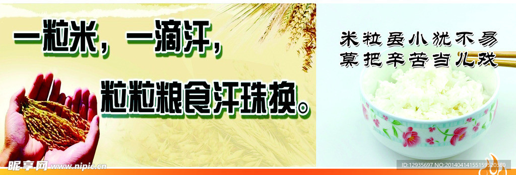 节约粮食