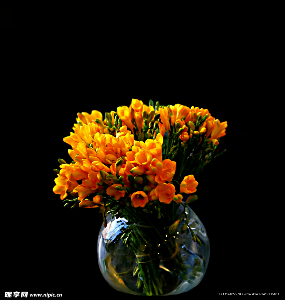 菊黄色花