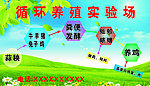 养殖场牛羊