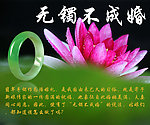手镯 无镯不成婚