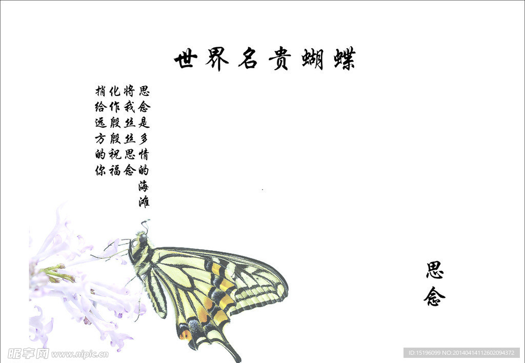 蝴蝶卡片