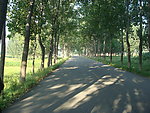 乡间小路