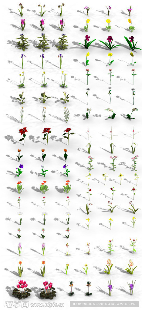 小花 小草免抠素材