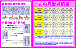 胸罩的穿戴方法