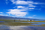 青海湖美景