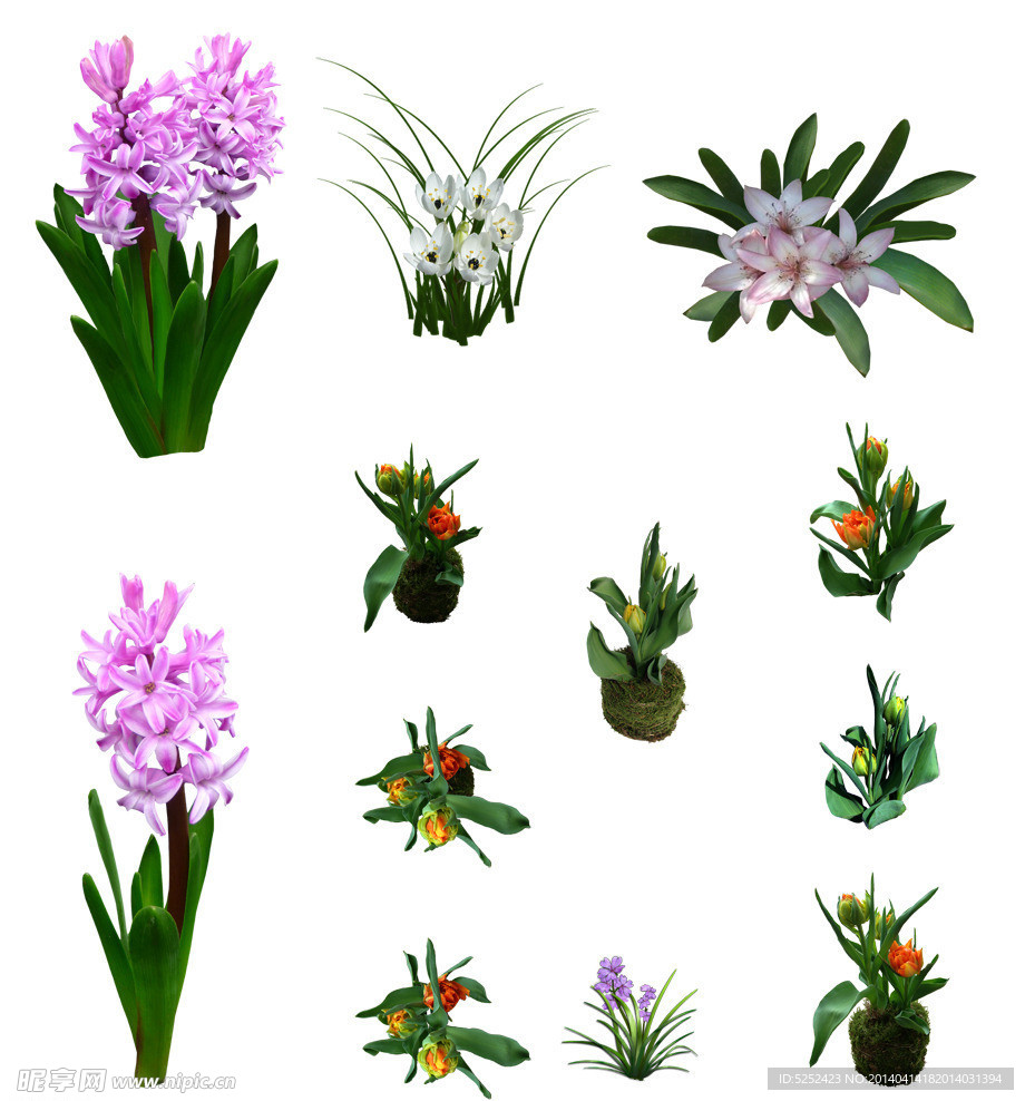 花草分层素材