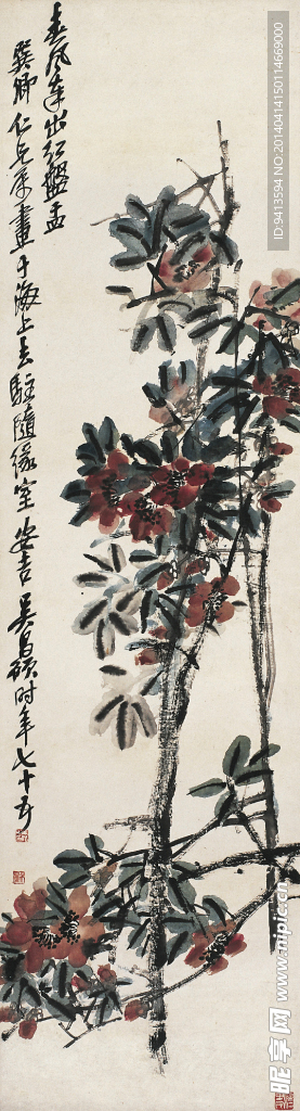 山茶花图