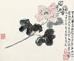 木芙蓉