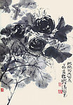素描牡丹花
