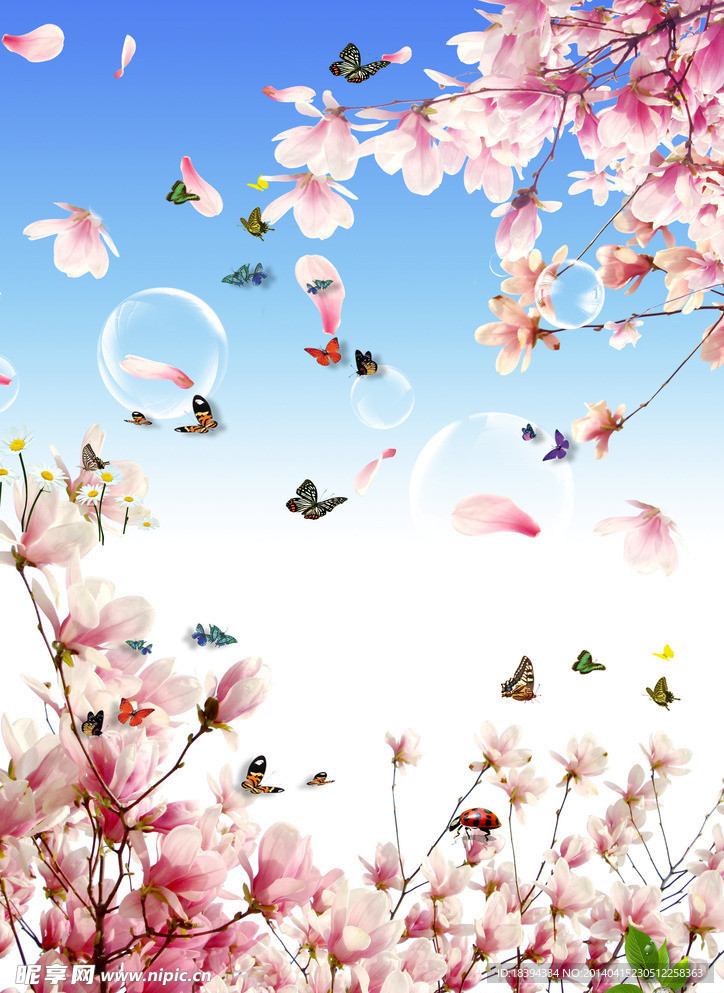 春暖桃树桃花风景