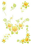 黄花