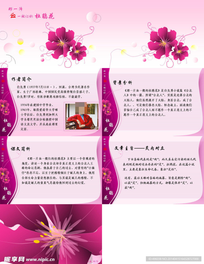 杜鹃花