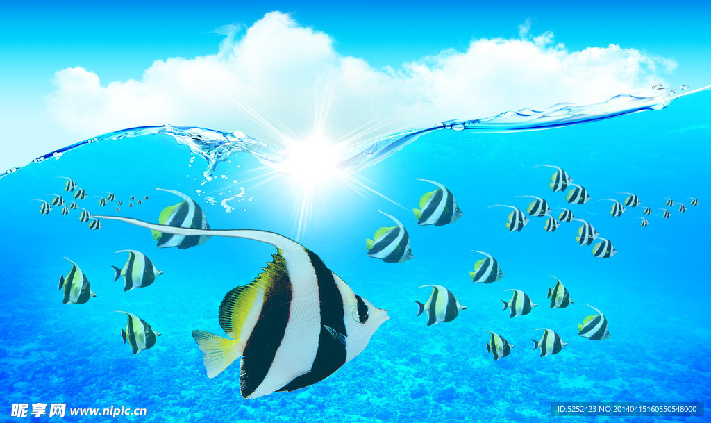 海水鱼群