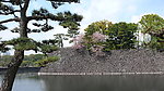 京都风光