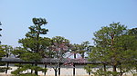 京都风光