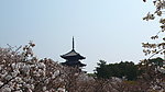 京都风光